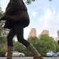 Cozy Ribbed Knit Leg Warmers for Women, Stylish Winter Warmth Accessory