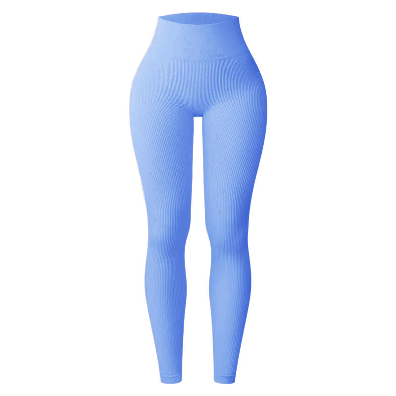 Shecurve Ultra-Soft Seamless Sculpting Leggings with Tummy Control