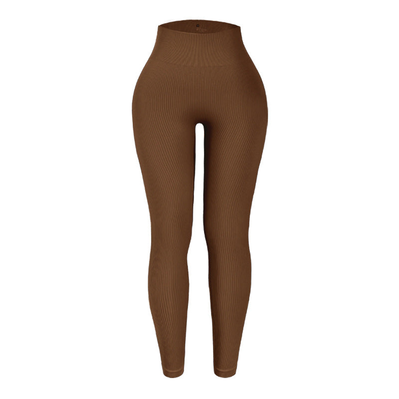 Shecurve Ultra-Soft Seamless Sculpting Leggings with Tummy Control